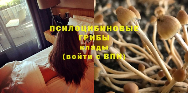 молекула духа Магас