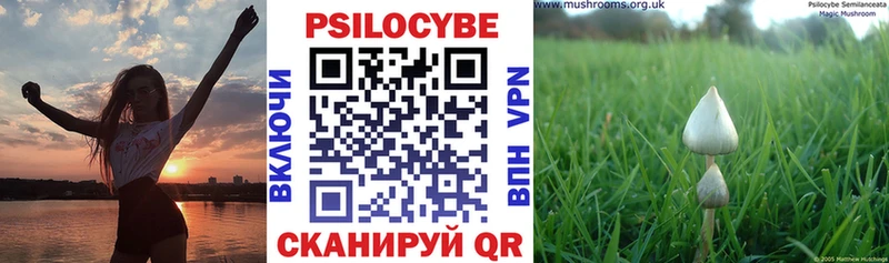 Купить закладки Заинск Псилоцибиновые грибы ЛСД